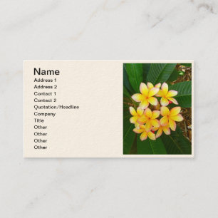 Hawaiian Frangipani Business Card