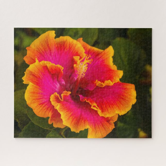 Hawaiian Fuchsia and Orange Hibiscus from Kauai Jigsaw Puzzle (Horizontal)