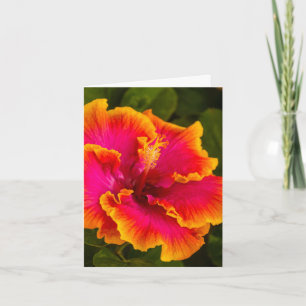 Hawaiian Fuchsia and Orange Hibiscus Note Card
