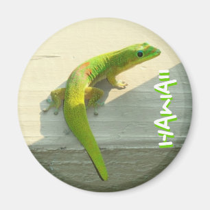 Hawaiian gecko magnet