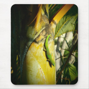 Hawaiian gecko tropical mousepad