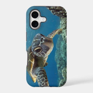 Hawaiian Green Sea Turtle