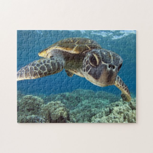 Hawaiian Green Sea Turtle Jigsaw Puzzle (Horizontal)
