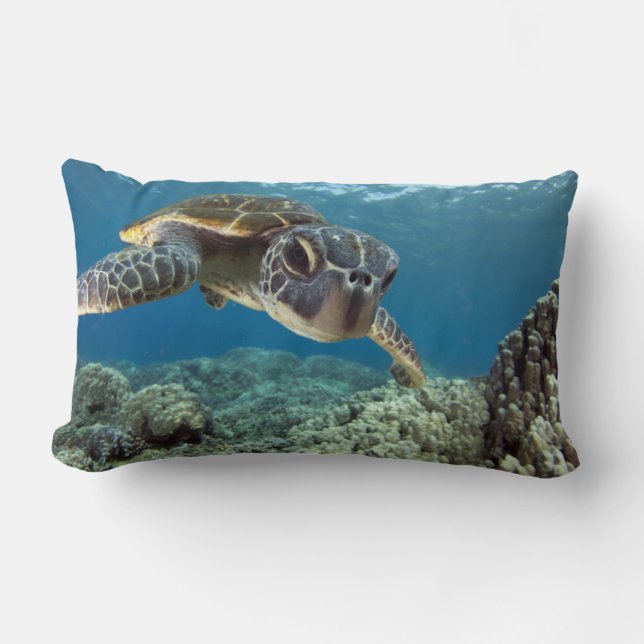 Hawaiian Green Sea Turtle Lumbar Cushion (Front)