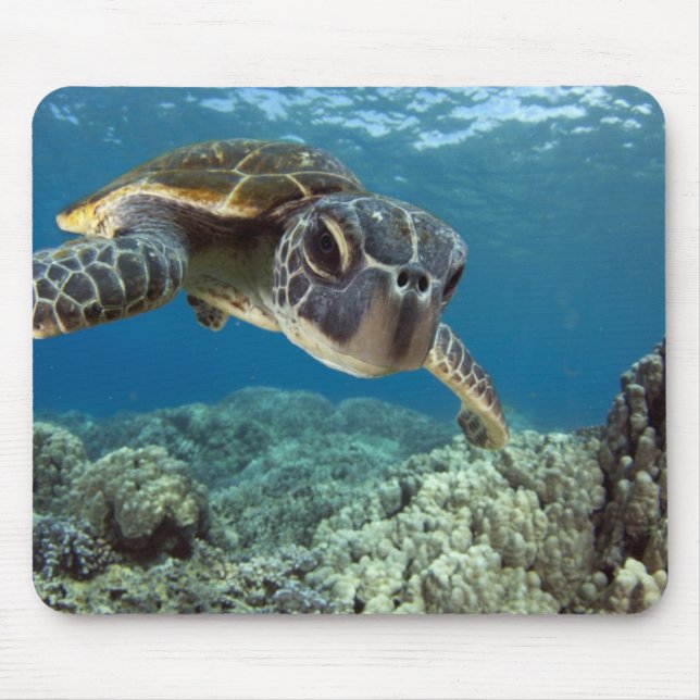 Hawaiian Green Sea Turtle Mouse Pad (Front)