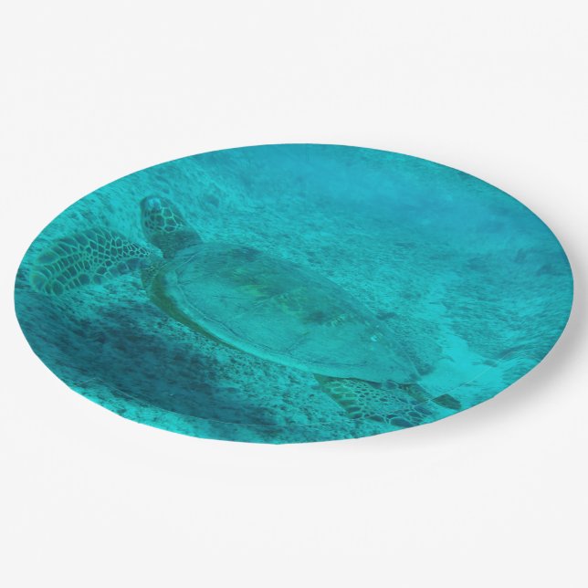Hawaiian Green Sea Turtle Paper Plate (Angled)