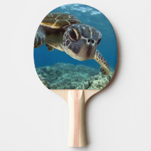 Hawaiian Green Sea Turtle Ping Pong Paddle