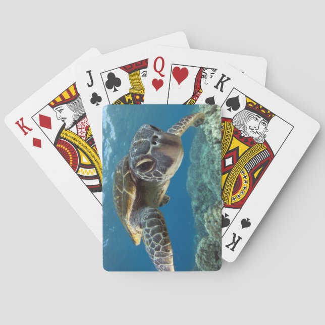 Hawaiian Green Sea Turtle Playing Cards (Back)