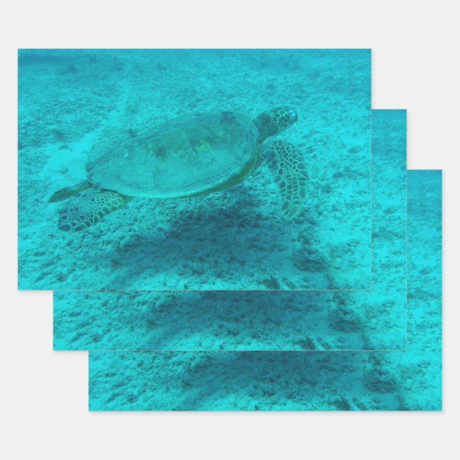 Hawaiian Green Sea Turtle Wrapping Paper Sheet (Set)