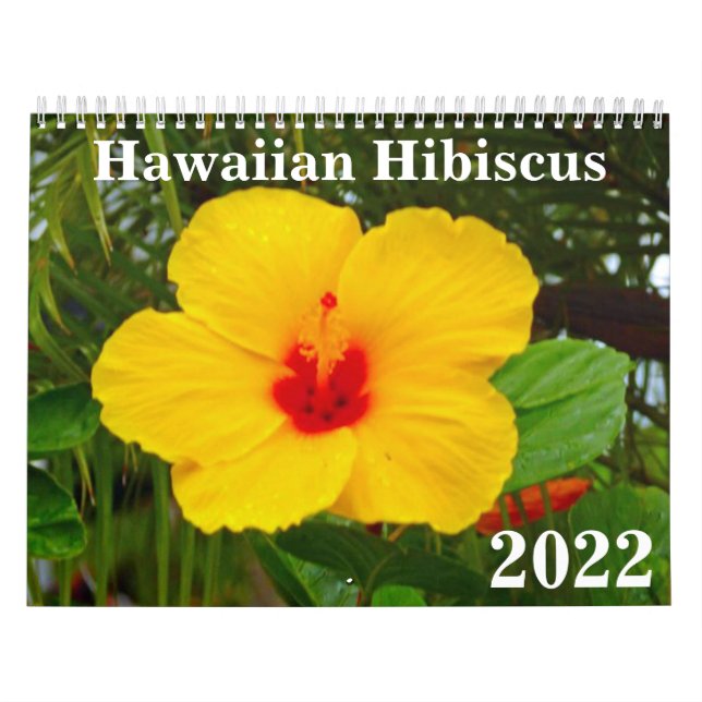 Hawaiian Hibiscus 2022 Calendar (Cover)