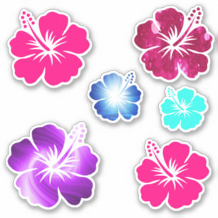 Hawaiian Hibiscus Flower Tropical Shaped Art