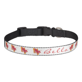 Hawaiian Dog Collars Personalized Hawaiian Dog Collars Personalized