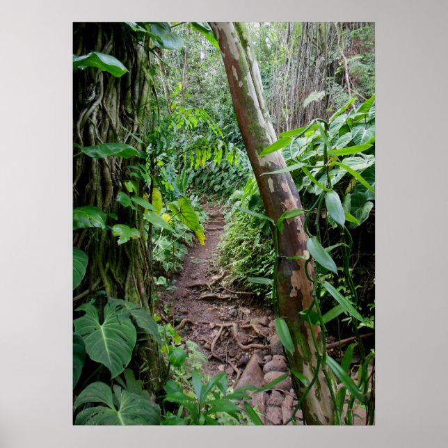 Hawaiian Hiking Trail Poster (Front)