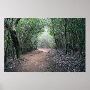 Hawaiian Hiking Trail Poster