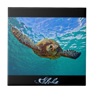 Hawaiian Honu - Sea Turtle Tile