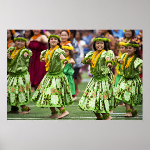 Hawaiian Hula Dancers Poster