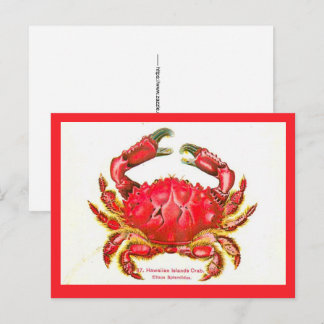 Hawaiian Island Crab Postcard