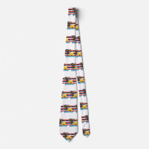 Hawaiian Islands Flag Tie