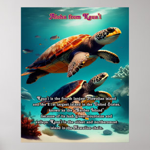 Hawaiian islands Kauai Aloha  Poster