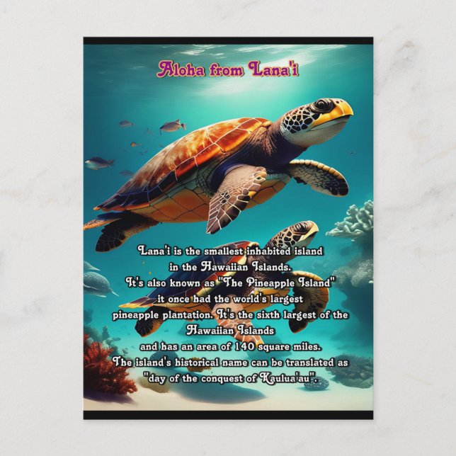 Hawaiian islands Lanai Aloha  Postcard (Front)