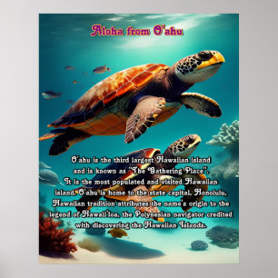 Hawaiian islands Oahu Aloha  Poster