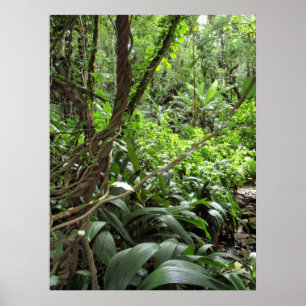 Hawaiian Jungle Vines Poster