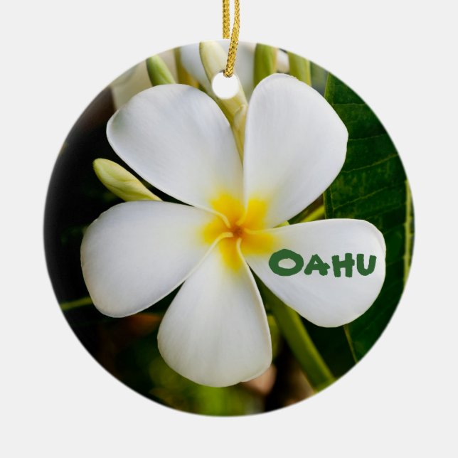 Hawaiian Keepsake Ceramic Tree Decoration (Front)