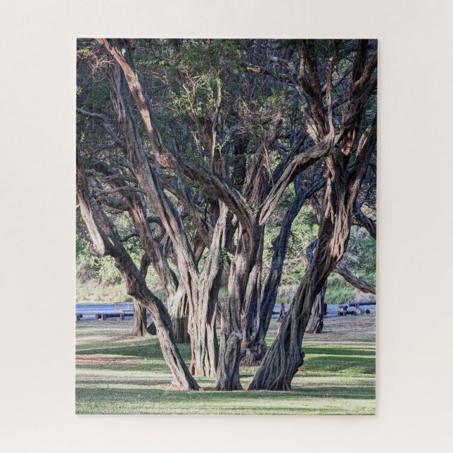 Hawaiian Kiawe Tree Jigsaw Puzzle (Vertical)