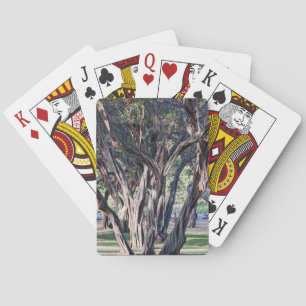 Hawaiian Kiawe Tree Playing Cards