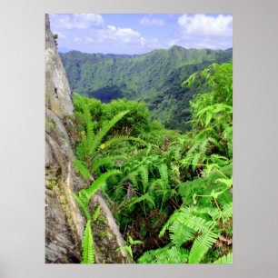 Hawaiian Koolau Mountains Poster