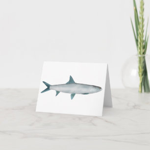 Hawaiian Ladyfish Note Card
