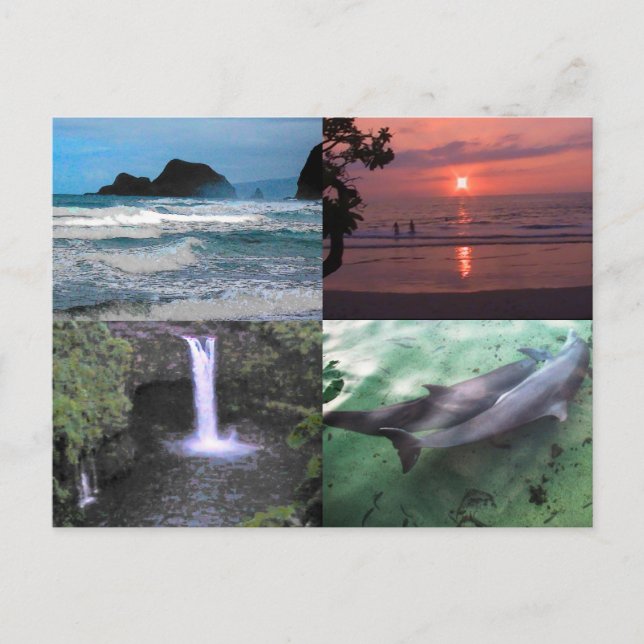 Hawaiian Landscape Four Photo Aloha Hawaii Postcard (Front)