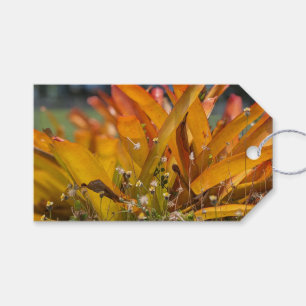Hawaiian Landscape Photo  Gift Tags