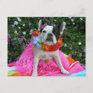 Hawaiian Midge Postcard