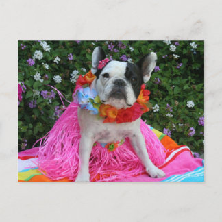 Hawaiian Midge Postcard