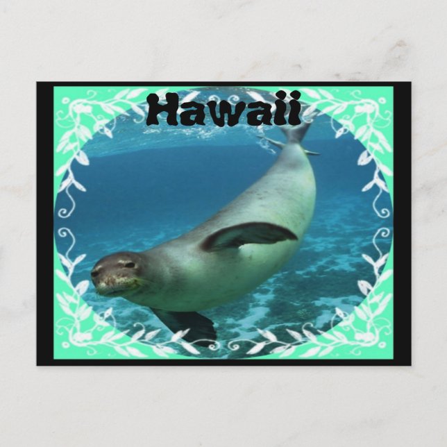 Hawaiian monk seal postcard (Front)