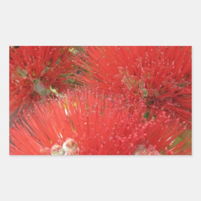 Hawaiian Native Ohia Lehua Flower Design Rectangular Sticker (Front)
