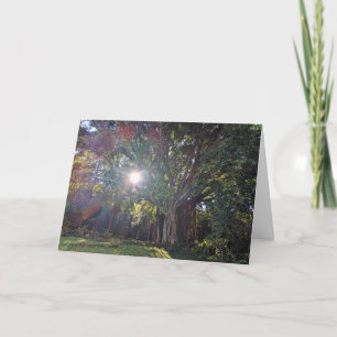 Hawaiian Natural Landscape Photography Thank You Card