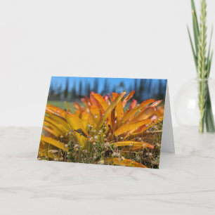 Hawaiian Natural Landscape Photography Thank You Card