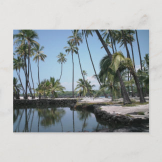Hawaiian Oasis Postcard