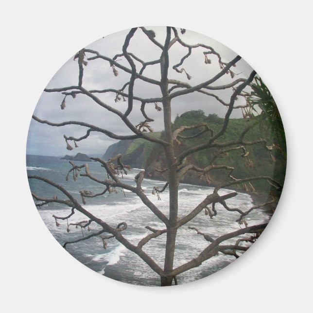 Hawaiian Ocean Beach Tree Photo View Magnet (Front)