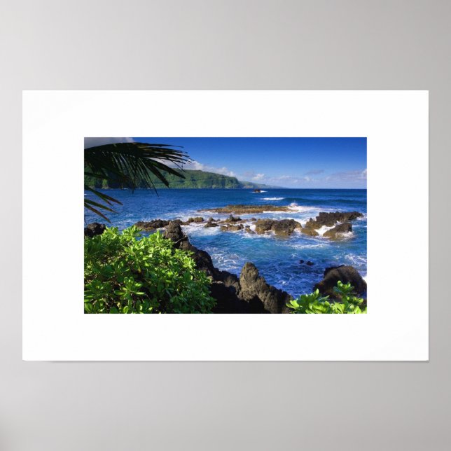 Hawaiian Ocean Poster (Front)