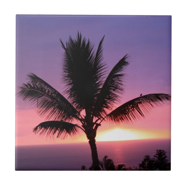 Hawaiian Palm Tree & Colourful Sunset Tile (Front)