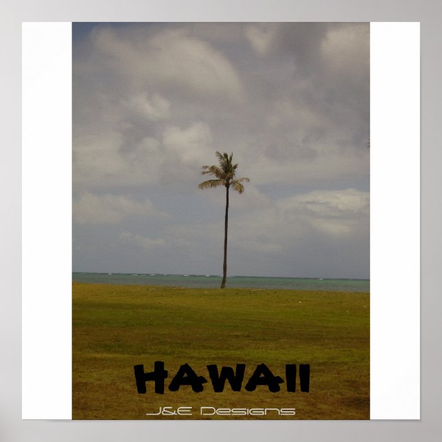 Hawaiian Palm Tree Poster (Front)