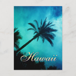 Hawaiian Palm Trees Postcard