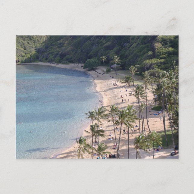 Hawaiian Paradise Postcard (Front)