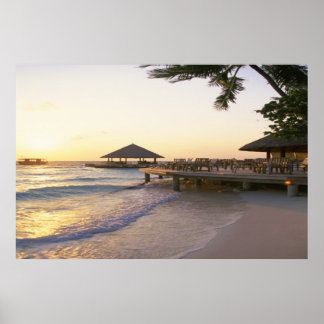 Hawaiian Pier Poster