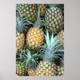 Hawaiian Pineapples Poster