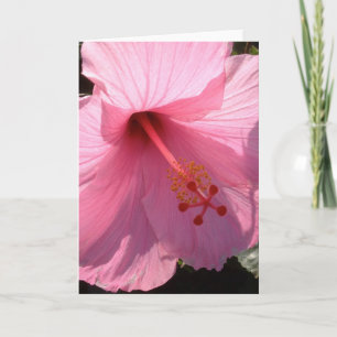 Hawaiian Pink Hibiscus Fine Art Photo Note Card