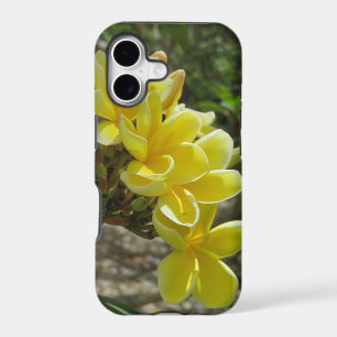 Hawaiian Plumeria